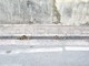 Sanremo: arredo urbano, degrado in via Fratelli Asquasciati e segnalazione di un lettore (Foto)