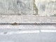 Sanremo: arredo urbano, degrado in via Fratelli Asquasciati e segnalazione di un lettore (Foto) Sanremo: arredo urbano, degrado in via Fratelli Asquasciati e segnalazione di un lettore (Foto)