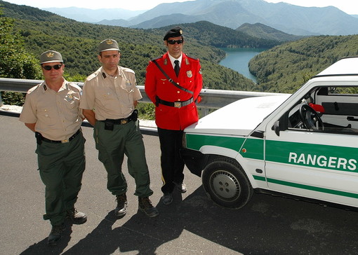 Sanremo: i Rangers spostano sciame di vespe a Borello Sanremo: i Rangers spostano sciame di vespe a Borello