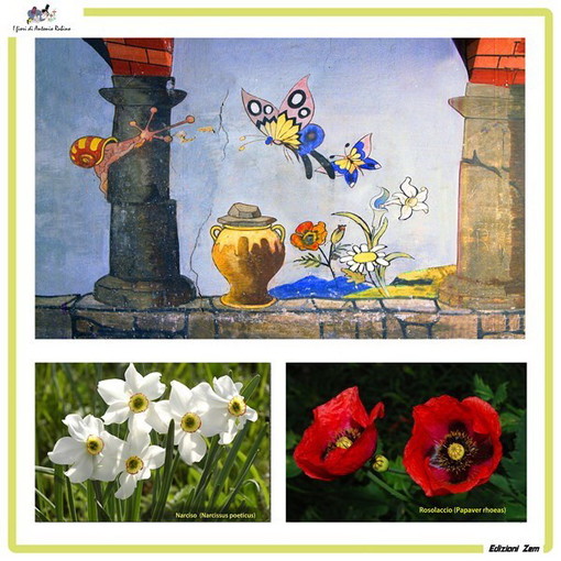Al via dal 4 agosto a Bajardo il ricordo di Antonio Rubino disegnatore di Sanremo Al via dal 4 agosto a Bajardo il ricordo di Antonio Rubino disegnatore di Sanremo