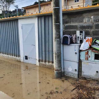 Ventimiglia: partita la raccolta fondi per il gattile, raccolti già 5.000 euro sui 7.000 dell'obiettivo Ventimiglia: partita la raccolta fondi per il gattile, raccolti già 5.000 euro sui 7.000 dell'obiettivo