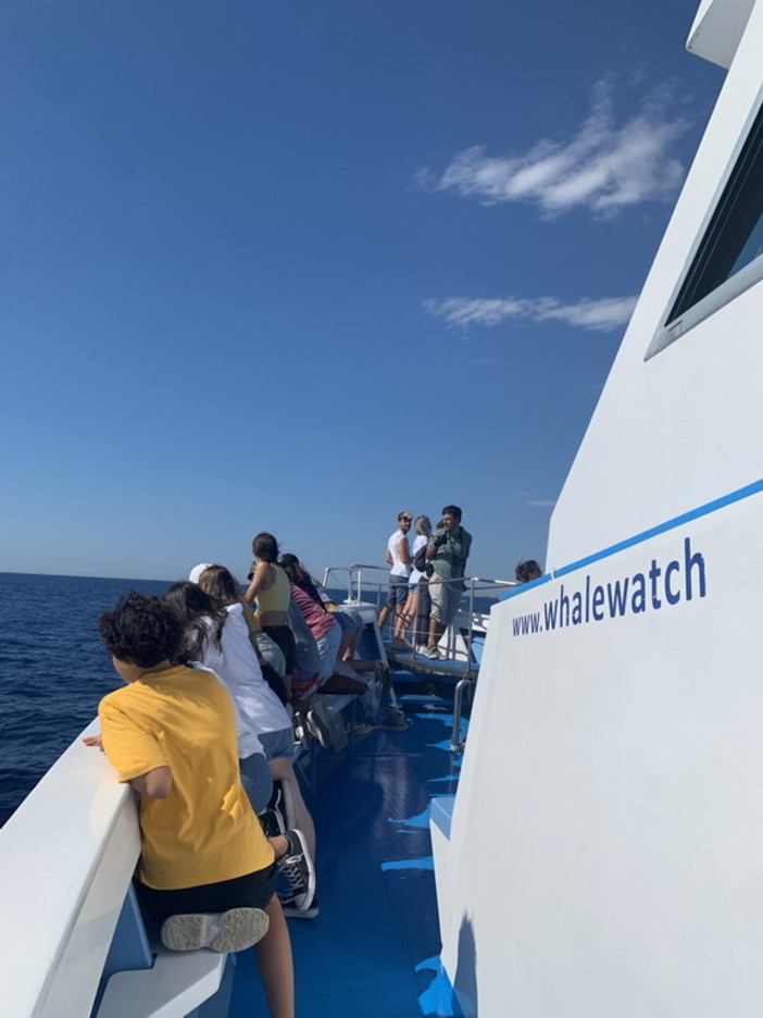Gli studenti del 'Cassini' proseguono il loro 'Piano Scuola Estate' in mare aperto con i delfini (Foto) Gli studenti del 'Cassini' proseguono il loro 'Piano Scuola Estate' in mare aperto con i delfini (Foto)