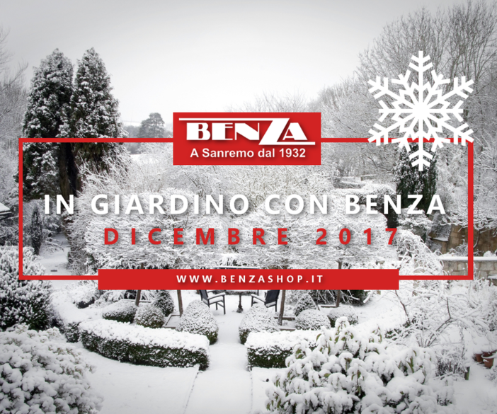 “In giardino con Benza”: i consigli dell'agronomo Enrico Leva per il mese di Dicembre “In giardino con Benza”: i consigli dell'agronomo Enrico Leva per il mese di Dicembre