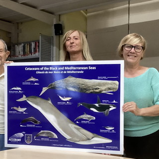 Sanremo: il Consolato del Mare dona alla Biblioteca Civica un 'Pannello dei Cetacei del Mediterraneo Accobams' Sanremo: il Consolato del Mare dona alla Biblioteca Civica un 'Pannello dei Cetacei del Mediterraneo Accobams'