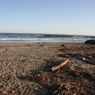 Mareggiate: Marco Scajola concorda con la Confcommecio