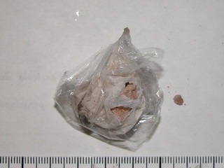La droga sequestrata La droga sequestrata