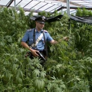 (Immagine generica) (Immagine generica)