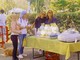Bordighera Dog Show, festa ai Giardini Lowe con 80 cani tra gare, cultura cinofila e adozioni responsabili Bordighera Dog Show, festa ai Giardini Lowe con 80 cani tra gare, cultura cinofila e adozioni responsabili