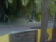Sanremo: degrado a Villa Ormond domenica scorsa, la mail con foto di un nostro lettore Sanremo: degrado a Villa Ormond domenica scorsa, la mail con foto di un nostro lettore