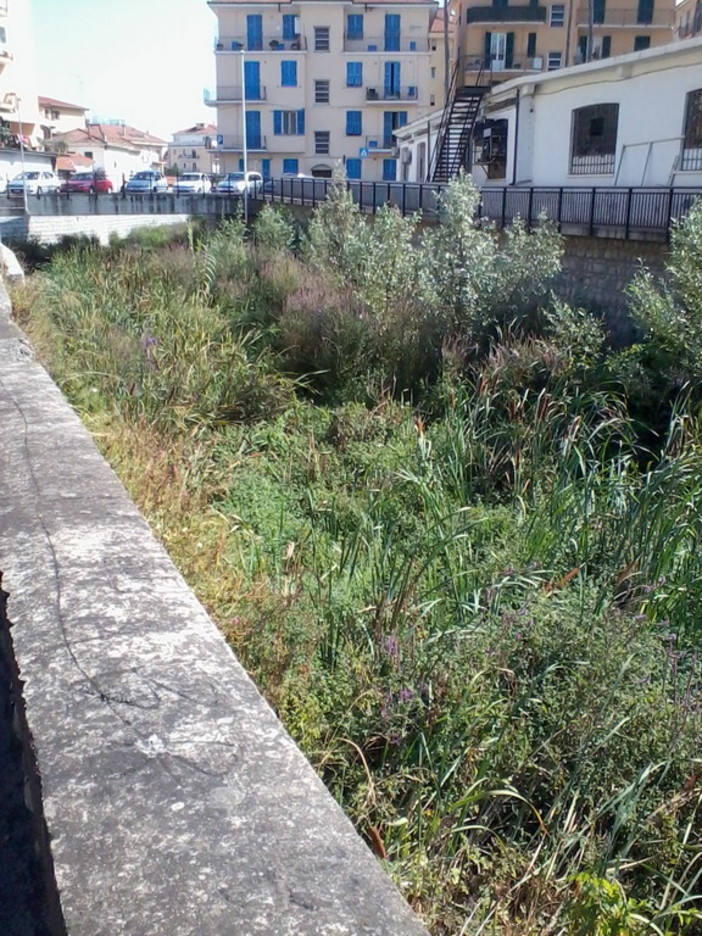Imperia: degrado sul torrente Caramagna, la denuncia fotografica di un nostro lettore