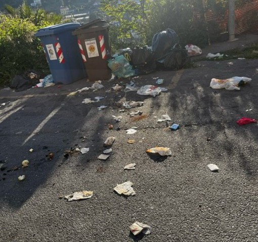 Sanremo: ancora degrado e sporcizia vicino ai cassonetti di strada San Lorenzo (Foto) Sanremo: ancora degrado e sporcizia vicino ai cassonetti di strada San Lorenzo (Foto)