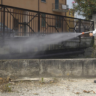 Imperia: tre interventi di disinfestazione ma con poche ore di preavviso, la protesta dei residenti