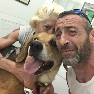 Sanremo: 'Armando' ha bisogno di una trasfusione di sangue e 'Rex' risponde presente, la storia del cucciolone del canile Enpa (Foto)
