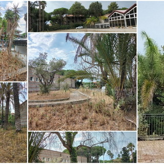 Bordighera: degrado e sporcizia al palazzetto dello sport di via Diaz, Interpellanza del Consigliere Stefano Sapino Bordighera: degrado e sporcizia al palazzetto dello sport di via Diaz, Interpellanza del Consigliere Stefano Sapino