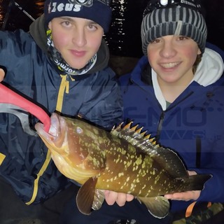 Importanti catture per due appassionati di pesca di Ventimiglia e Vallecrosia, un grongo e una cernia (Foto)