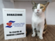 Ventimiglia: Aceb dona al gattile la somma raccolta in memoria di Monica Ligustro (Video)