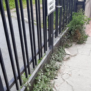 Sopralluogo di 'Imperia Rinasce' alle Ferriere "Troppa trascuratezza, serve più manutenzione"