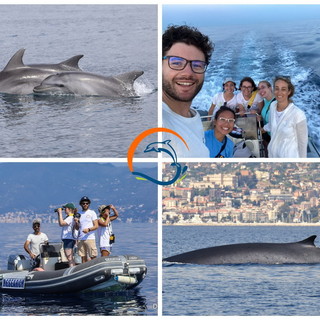 Un anno record di avvistamenti e il mar Ligure si riconferma la culla dei cetacei Un anno record di avvistamenti e il mar Ligure si riconferma la culla dei cetacei