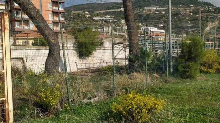 Immagine di repertorio Immagine di repertorio