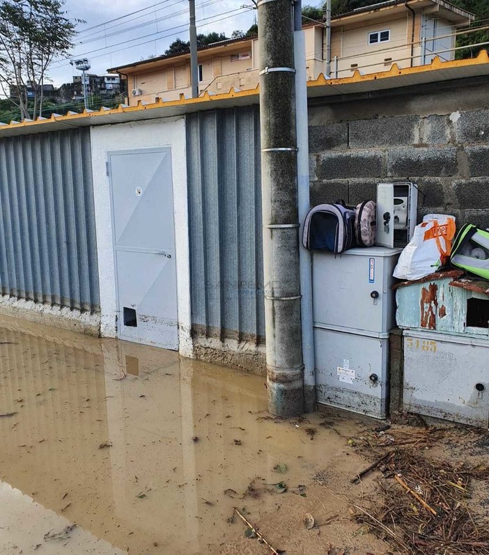 Ventimiglia: partita la raccolta fondi per il gattile, raccolti già 5.000 euro sui 7.000 dell'obiettivo Ventimiglia: partita la raccolta fondi per il gattile, raccolti già 5.000 euro sui 7.000 dell'obiettivo