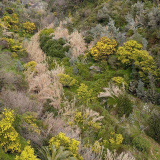 Oggi nella trasmissione 'Geo & Geo' di Rai 3 il documentario del bordigotto Andrea Alborno Oggi nella trasmissione 'Geo & Geo' di Rai 3 il documentario del bordigotto Andrea Alborno