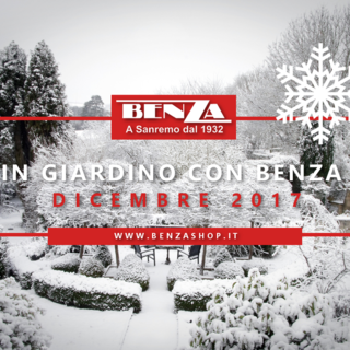 “In giardino con Benza”: i consigli dell'agronomo Enrico Leva per il mese di Dicembre “In giardino con Benza”: i consigli dell'agronomo Enrico Leva per il mese di Dicembre