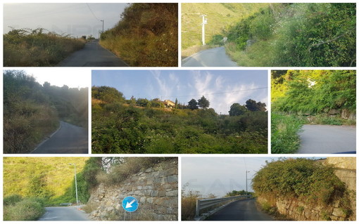 Sanremo: proteste per strada Monte Ortigara a rischio incendi, ma l'Amministrazione ha già iniziato i lavori