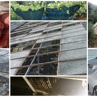 Grandinata di stanotte in provincia: Ventimiglia e Camporosso chiedono lo stato di calamità (Foto e Video) Grandinata di stanotte in provincia: Ventimiglia e Camporosso chiedono lo stato di calamità (Foto e Video)