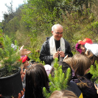 Don Goffredo Sciubb Don Goffredo Sciubb