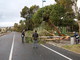 Danni da vento a Sanremo: alberi caduti, motorini abbattuti ma per fortuna nessun ferito, tutte le foto Danni da vento a Sanremo: alberi caduti, motorini abbattuti ma per fortuna nessun ferito, tutte le foto