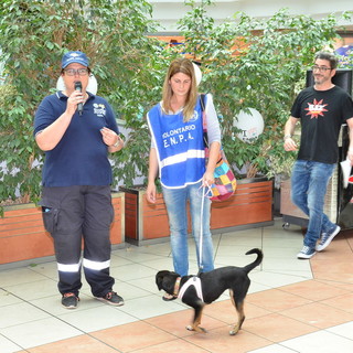 Arma di Taggia: grande successo per i due giorni dell'Enpa dedicati alle adozioni (Foto e Video) Arma di Taggia: grande successo per i due giorni dell'Enpa dedicati alle adozioni (Foto e Video)