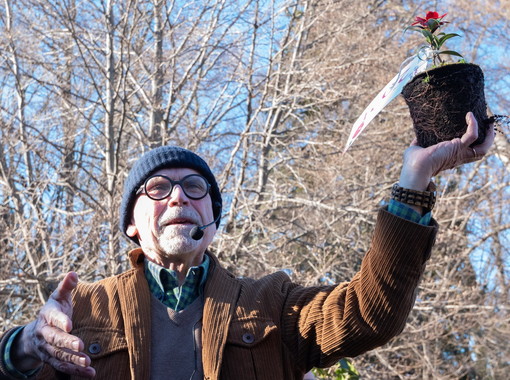 Sanremo: "Dalla parte dei Giganti. I grandi alberi e noi: un'armonia da recuperare", il 7 maggio al Floriseum Sanremo: "Dalla parte dei Giganti. I grandi alberi e noi: un'armonia da recuperare", il 7 maggio al Floriseum