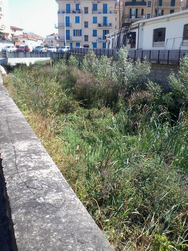 Imperia: degrado sul torrente Caramagna, la denuncia fotografica di un nostro lettore