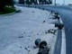 Imperia: perde il controllo dell'auto per un colpo di sonno e distrugge alcuni dissuasori al porto di Oneglia (Foto)