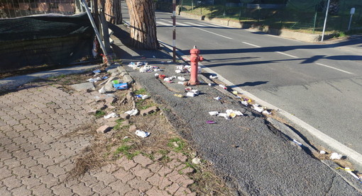 Sanremo: sacchetti dell'immondizia gettati fuori dai cassonetti, i gabbiani banchettano e formano una discarica (Foto)
