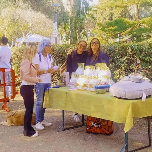 Bordighera Dog Show, festa ai Giardini Lowe con 80 cani tra gare, cultura cinofila e adozioni responsabili Bordighera Dog Show, festa ai Giardini Lowe con 80 cani tra gare, cultura cinofila e adozioni responsabili