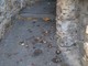 Sanremo: deiezioni canine nel vicolo tra via Borea e via Giusti, la lamentela di un lettore (Foto)
