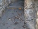 Sanremo: deiezioni canine nel vicolo tra via Borea e via Giusti, la lamentela di un lettore (Foto) Sanremo: deiezioni canine nel vicolo tra via Borea e via Giusti, la lamentela di un lettore (Foto)