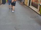 Sanremo: serie di interventi dei Vigili del Fuoco per il vento, un dissuasore per piccioni sfiora una turista Sanremo: serie di interventi dei Vigili del Fuoco per il vento, un dissuasore per piccioni sfiora una turista