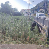 Torrente Nervia, il Comune di Camporosso risponde: "Intervento già programmato, attendiamo l'autorizzazione" Torrente Nervia, il Comune di Camporosso risponde: "Intervento già programmato, attendiamo l'autorizzazione"
