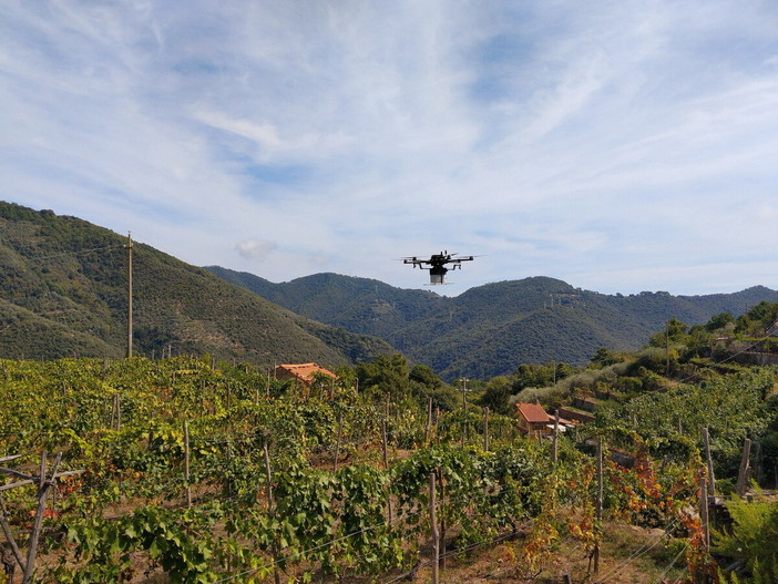 Viticoltura ligure, a Ceriana i test del progetto DROLig: droni in campo per trattamenti più sicuri e precisi Viticoltura ligure, a Ceriana i test del progetto DROLig: droni in campo per trattamenti più sicuri e precisi