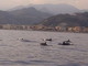Le foto di delfini e stenelle di fronte a Bordighera: sono stata scattate da Alessandra Grassi