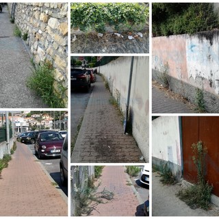 Imperia: degrado nella zona di Caramagna, i residenti chiedono maggiori interventi del Comune (Foto) Imperia: degrado nella zona di Caramagna, i residenti chiedono maggiori interventi del Comune (Foto)