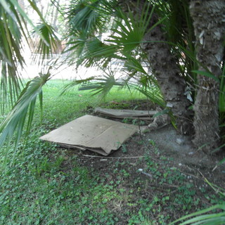 Verde pubblico a Ventimiglia: dopo le penali il Comune cerca cooperative sociali di ‘tipo B’ per l’affidamento del servizio