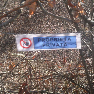 Degrado nei boschi della nostra provincia: le foto e la denuncia di una nostra lettrice