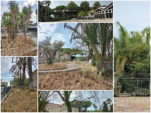 Bordighera: degrado e sporcizia al palazzetto dello sport di via Diaz, Interpellanza del Consigliere Stefano Sapino Bordighera: degrado e sporcizia al palazzetto dello sport di via Diaz, Interpellanza del Consigliere Stefano Sapino