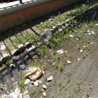 Giardini pubblici di Ventimiglia “abbandonati” tra degrado e sporcizia, diventati rifugio per clochard e nullatenenti