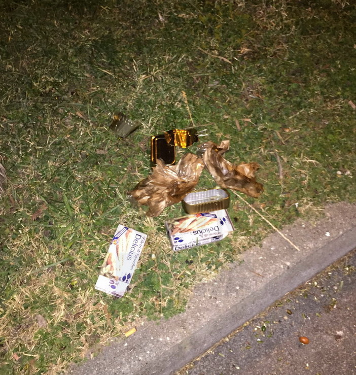 Sanremo: degrado e sporcizia nei giardini vicino al Morgana, la protesta e le foto di un lettore