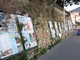 Sanremo: degrado e sterpaglie vicino alla Madonna della Costa, la richiesta di intervento (Foto)