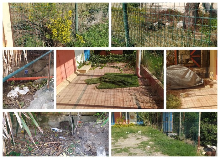 Bordighera: ex campo di Arziglia nel degrado, i residenti chiedono un intervento al Comune (Foto) Bordighera: ex campo di Arziglia nel degrado, i residenti chiedono un intervento al Comune (Foto)